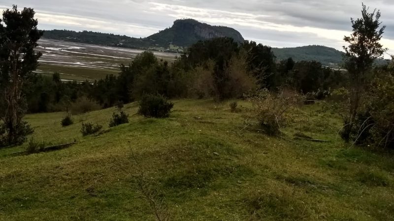 WhatsApp Image 2019-09-27 at 09.08.07