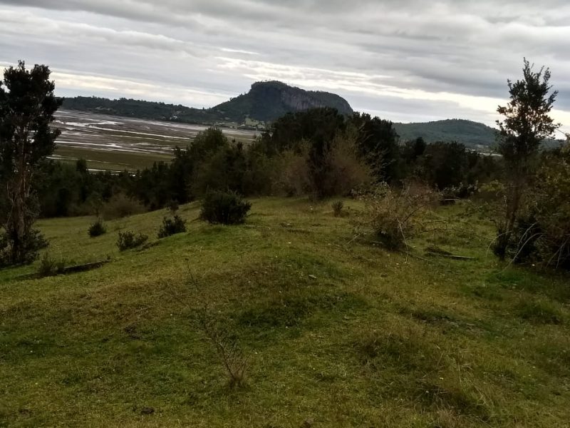 WhatsApp Image 2019-09-27 at 09.08.07