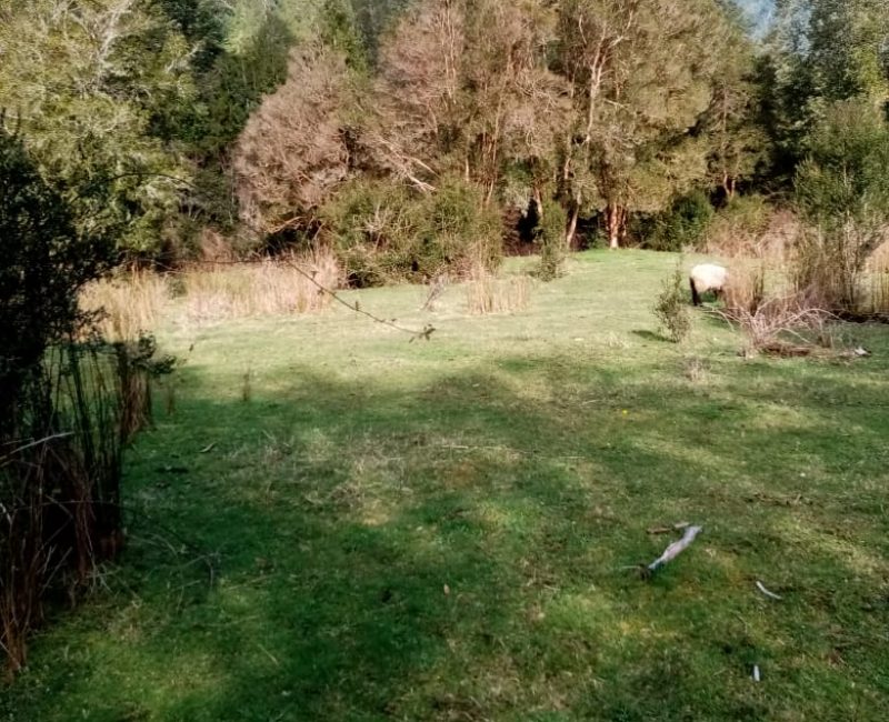 WhatsApp Image 2020-06-05 at 19.59.04