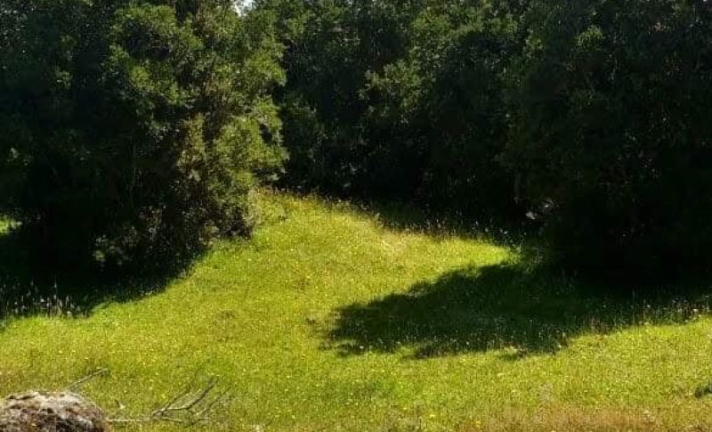 WhatsApp Image 2020-06-06 at 16.29.58 (1)