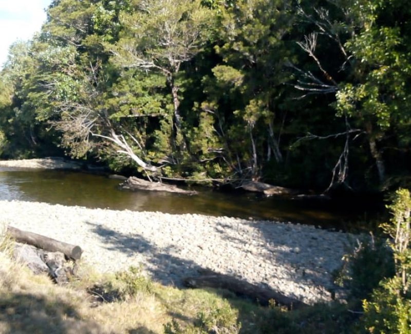 WhatsApp Image 2021-04-28 at 21.19.07