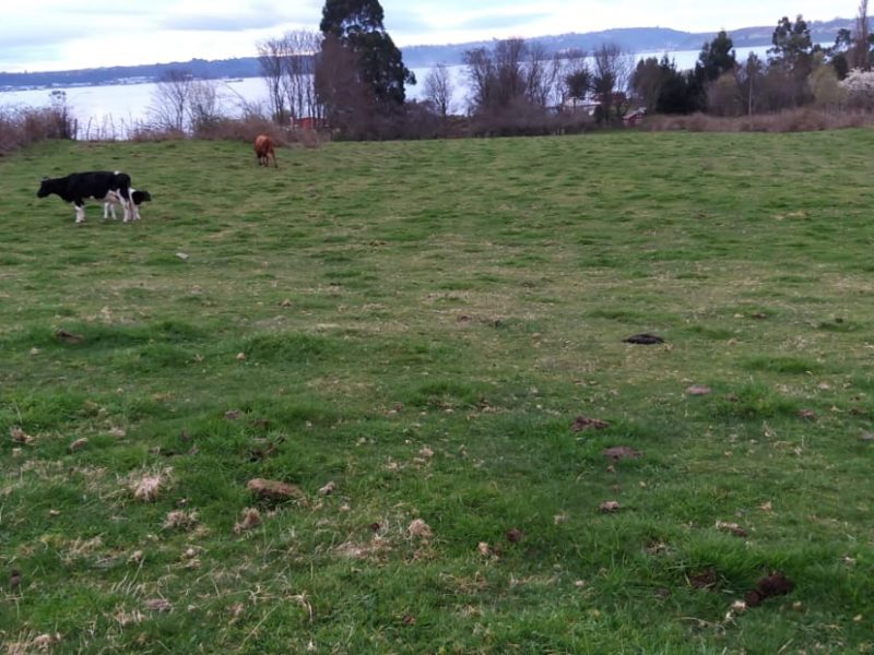 WhatsApp Image 2021-09-16 at 09.54.48