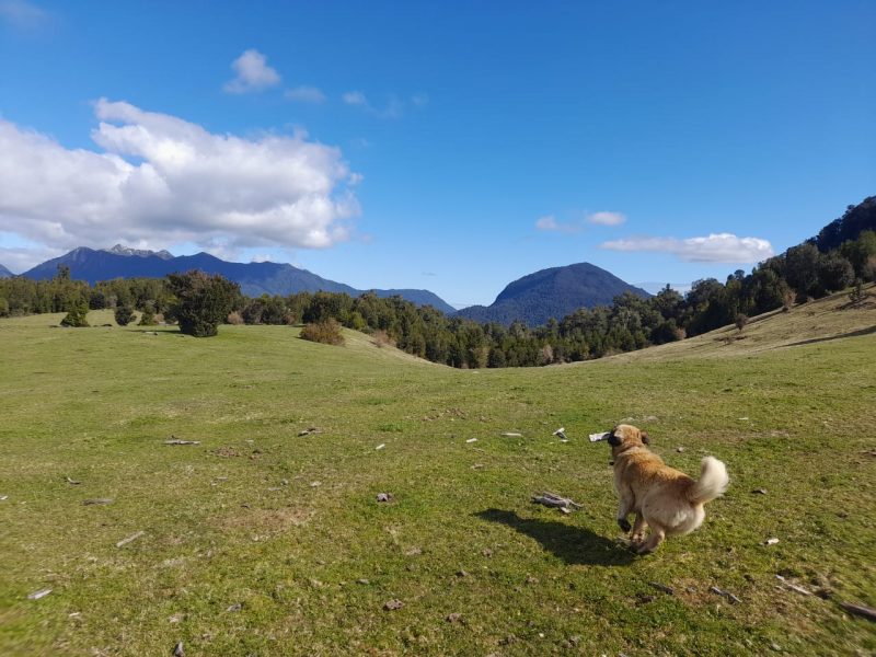 WhatsApp Image 2022-10-06 at 10.18.27 (3)