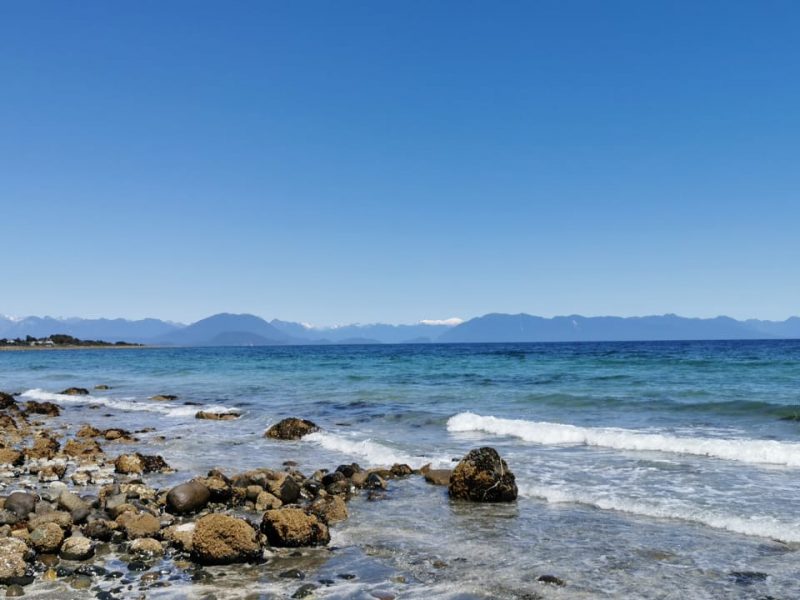 WhatsApp Image 2022-12-02 at 12.46.00 (1)