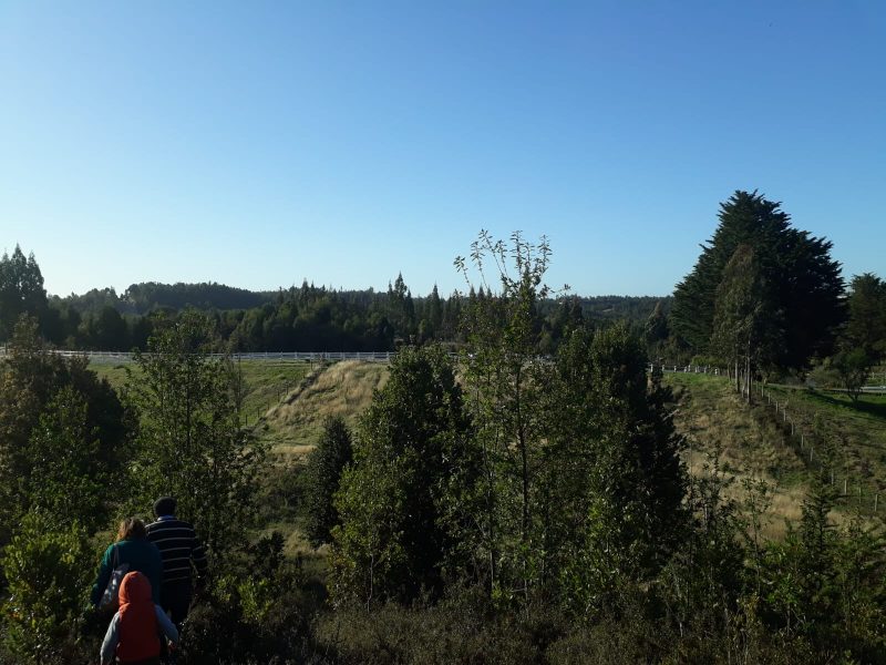 WhatsApp Image 2023-04-04 at 22.02.57