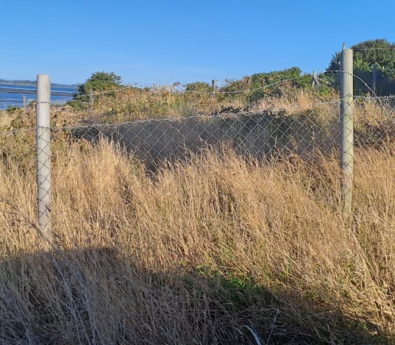 WhatsApp Image 2023-07-17 at 23.32.53 (1)